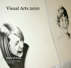Visual Arts 2010 book cover