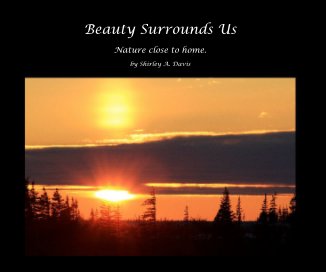 Beauty Surrounds Us book cover