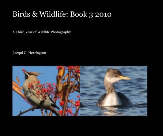Birds & Wildlife: Book 3 2010 book cover