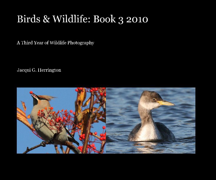 Ver Birds & Wildlife: Book 3 2010 por Jacqui G. Herrington