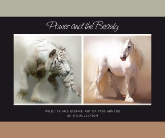 Power and the Beauty (Std Landscape) book cover