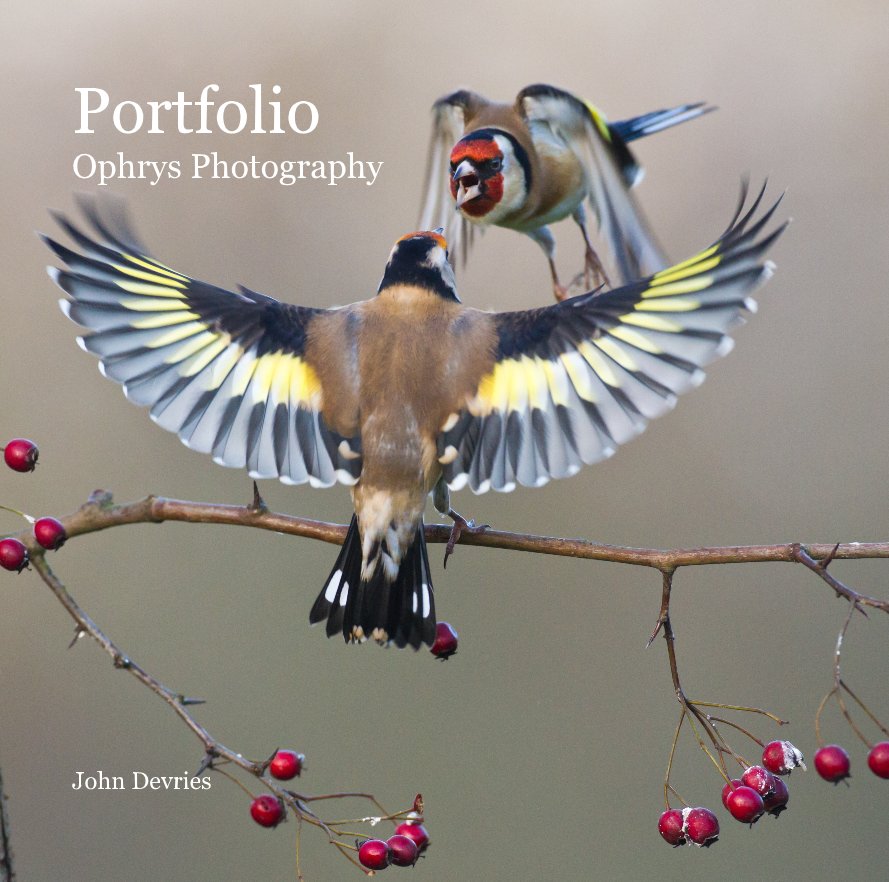 View Portfolio Ophrys Photography by John Devries