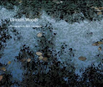 Lincoln Woods book cover
