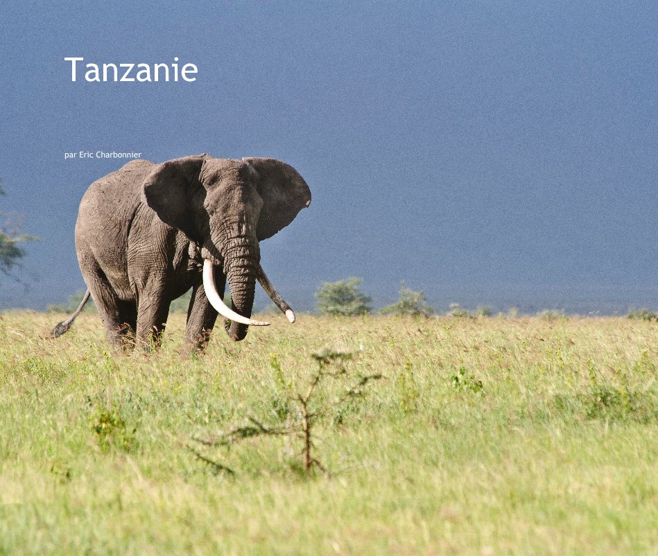 View Tanzanie by par Eric Charbonnier