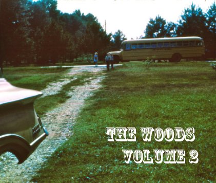 the woods volume 2 book cover