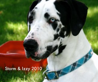Storm & Izzy 2010 book cover