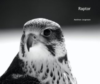 Raptor book cover