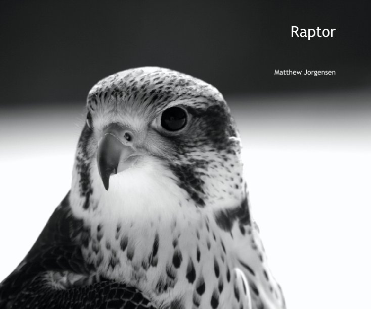 Ver Raptor por Matthew Jorgensen