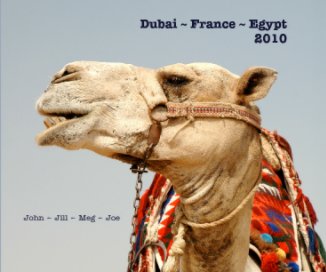 Dubai ~ France ~ Egypt 2010 book cover