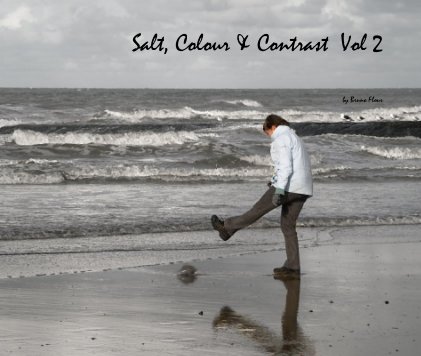 Salt, Colour & Contrast Vol 2 book cover
