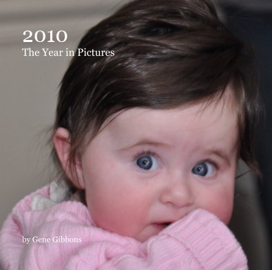 2010 The Year in Pictures book cover