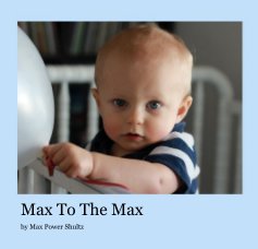 Max To The Max book cover