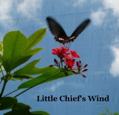 Little Chief's Wind book cover