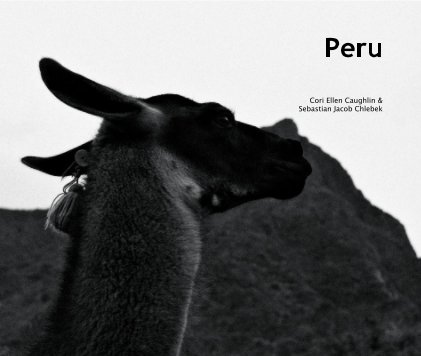 Peru book cover