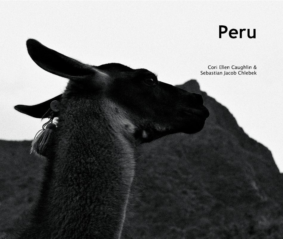 View Peru by Cori Ellen Caughlin & Sebastian Jacob Chlebek