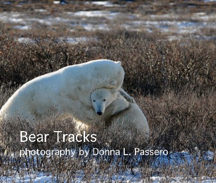 Bear Tracks photography by Donna L. Passero book cover