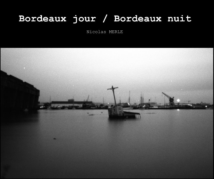 View Bordeaux jour / Bordeaux nuit by Nicolas MERLE