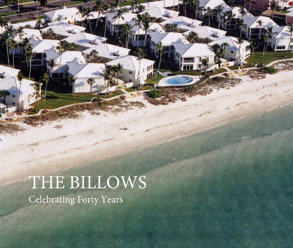 Ver THE BILLOWS
Celebrating Forty Years por stormi