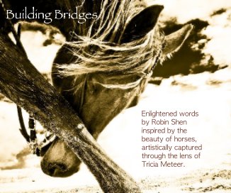 Building Bridges book cover
