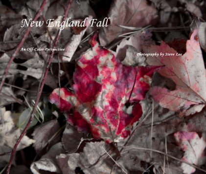 New England Fall book cover