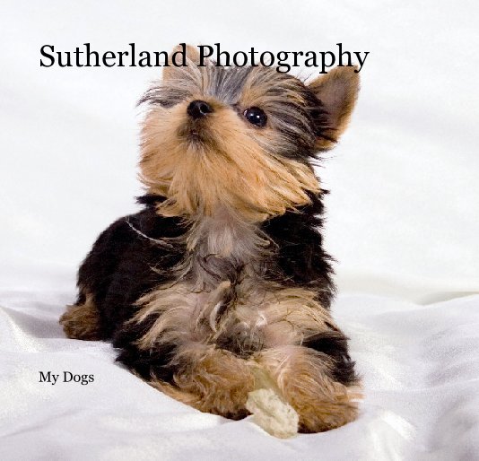 Ver Sutherland Photography por 352-672-0947