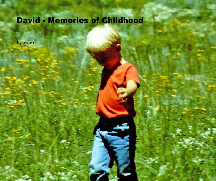 View David - Memories of Childhood by Mom