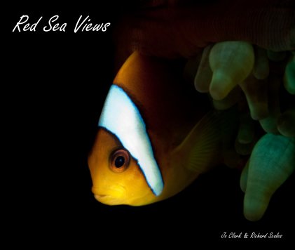 Red Sea Views book cover