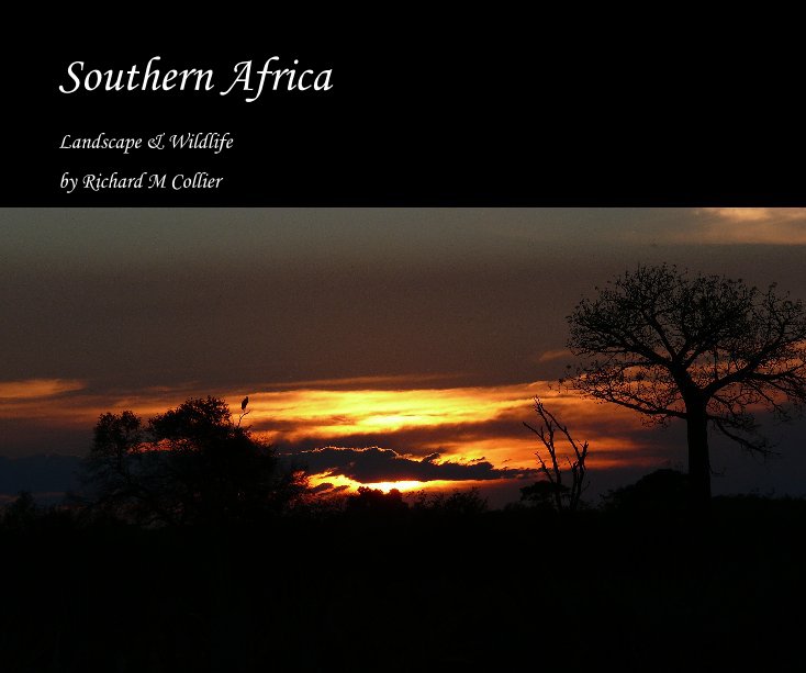 View Southern Africa by Richard M Collier