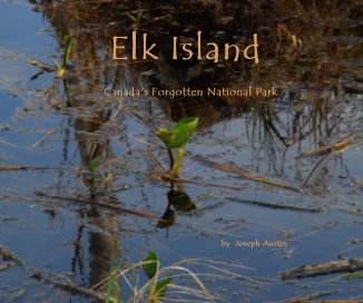 Elk Island book cover