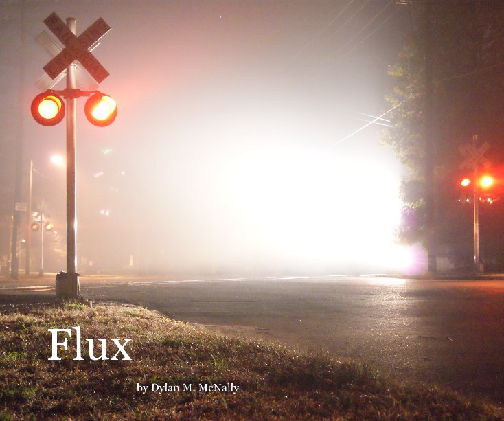 View Flux by Dylan M. McNally