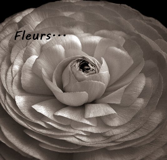 View Fleurs... by bekkibea