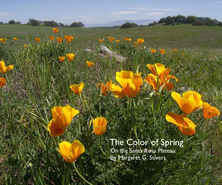 View The Color of Spring on the Santa Rosa Plateau by Margaret G. Stivers
