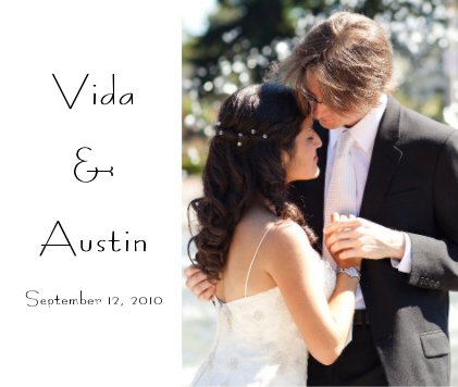 Vida & Austin book cover