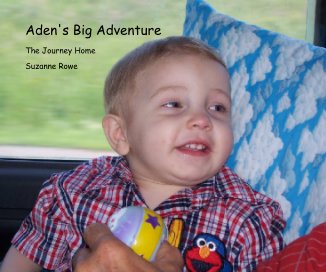 Aden's Big Adventure book cover