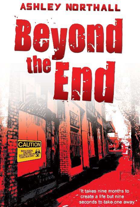 View Beyond The End by Ashley Northall