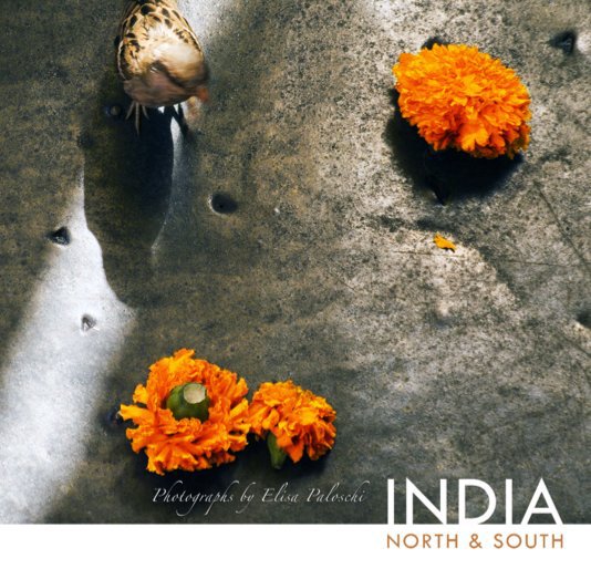 Bekijk INDIA   NORTH & SOUTH (small) op Elisa Paloschi