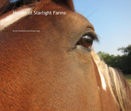 Horses of Starlight Farms book cover