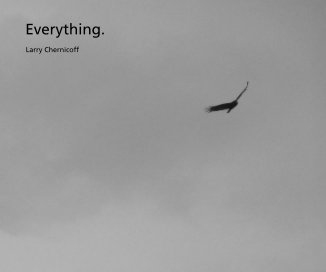 Everything. [larger format soft or hard cover] book cover