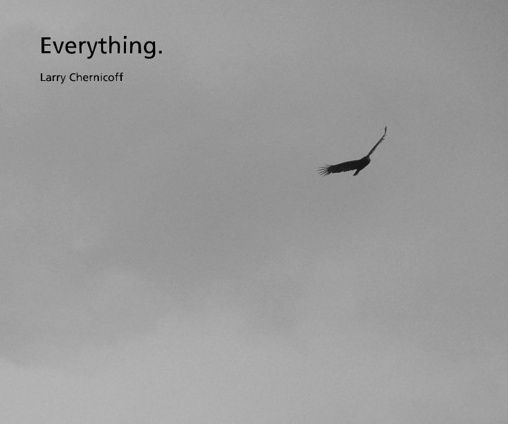 Bekijk Everything. [larger format soft or hard cover] op Larry Chernicoff