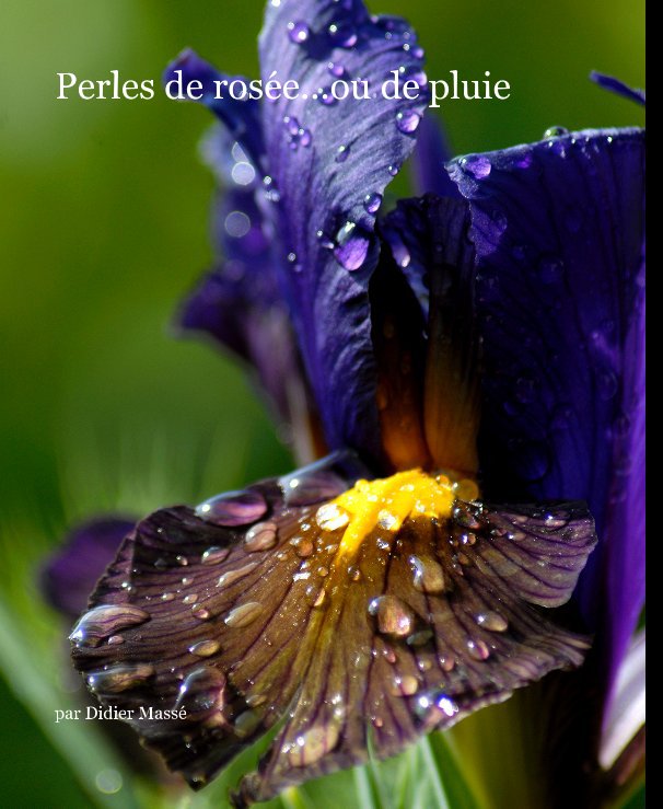 Bekijk Perles de rosée...ou de pluie op par Didier Massé