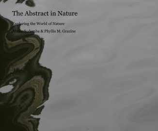 The Abstract in Nature book cover
