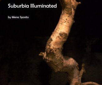 Suburbia Illuminated book cover