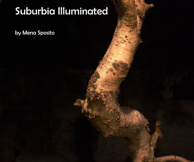 Ver Suburbia Illuminated por Mena Sposito