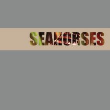 Seahorses book cover