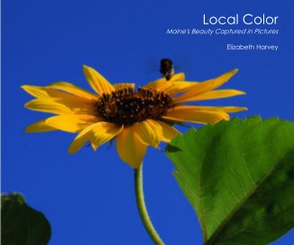 Local Color book cover