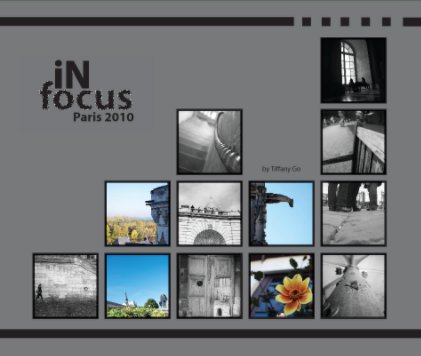 iN Focus Paris 2010 book cover