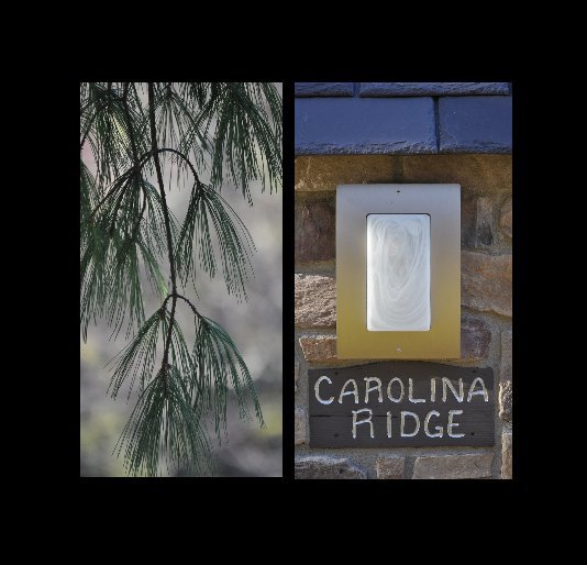View Carolina Ridge by Denise Sherman