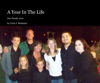 A Year In The Life book cover