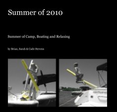 Summer of 2010 book cover