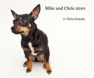 Mike and Chris 2010 book cover